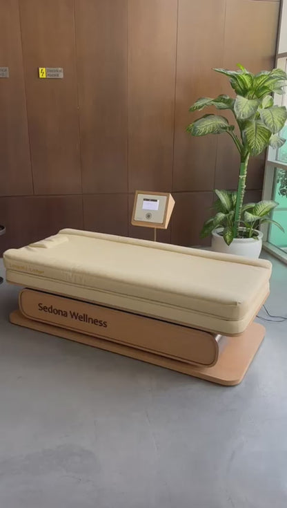 Longevity Lounger PEMF